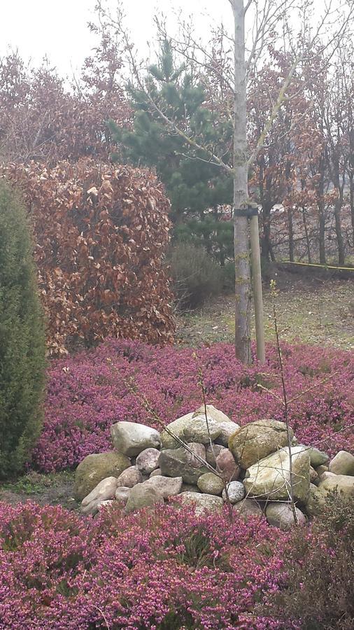 Hotel T Middelkamp Roswinkel Dış mekan fotoğraf